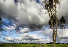 2020湖人总决赛全部回放哪里能看？经典战役细节与精彩瞬间全解析