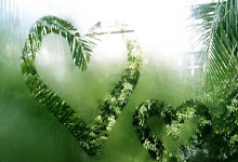 墨西哥对阵波兰，这场世界杯小组赛比分会如何？