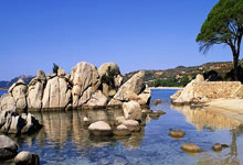 瑞典国家足球队为何能在世界足坛长期保持竞争力？